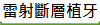 �p�g�_�h�Ӥ�