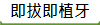 �Y�ާY�Ӥ�
