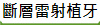 �_�h�p�g�Ӥ�