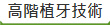 �����Ӥ��޳N